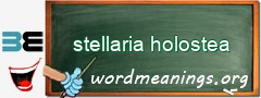 WordMeaning blackboard for stellaria holostea